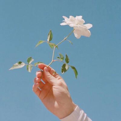 天剑御道游戏下载